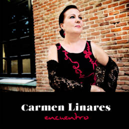 Diseño de Ana Solinís