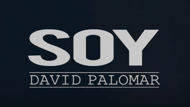 Soy - David Palomar
